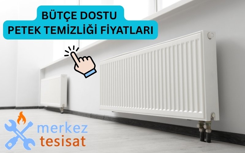 petek temizliği fiyatları